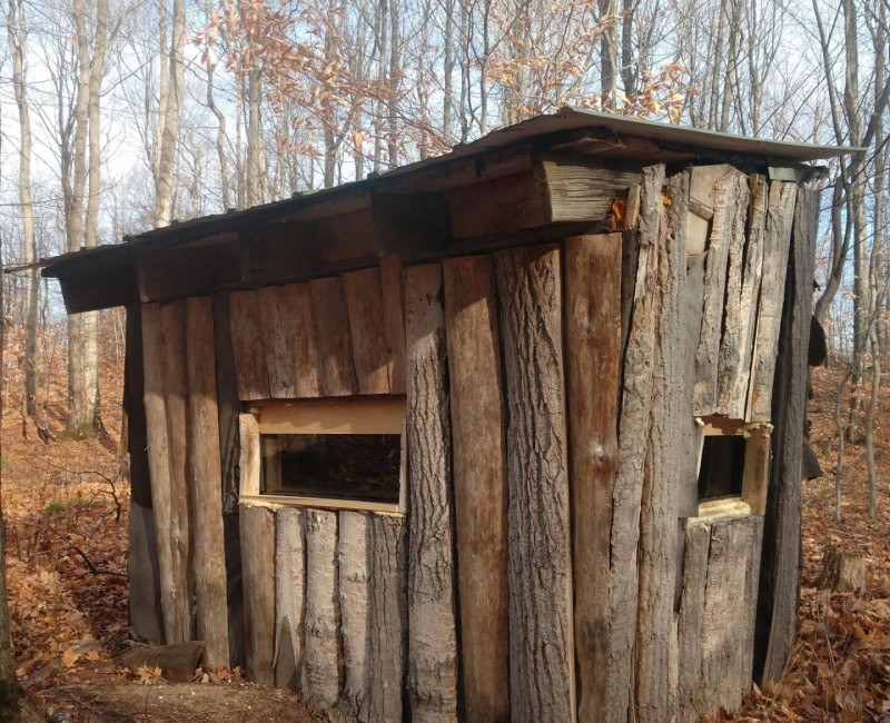 tree trunk deer blind with new windows