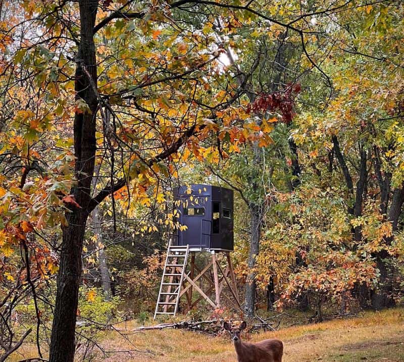 deer standing in front of zero 4 crafted deer stand