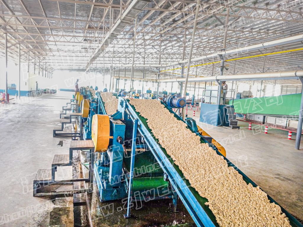 TSR Natural Rubber Processing Machinery
