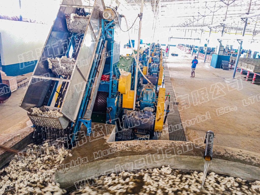 TSR Natural Rubber Processing Machinery