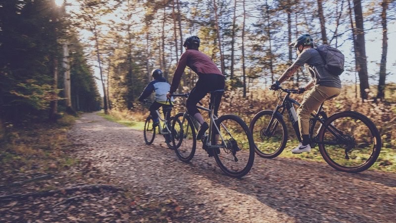 Bild zum Artikel So verhältst du dich bei einem Unfall mit dem Gravelbike richtig