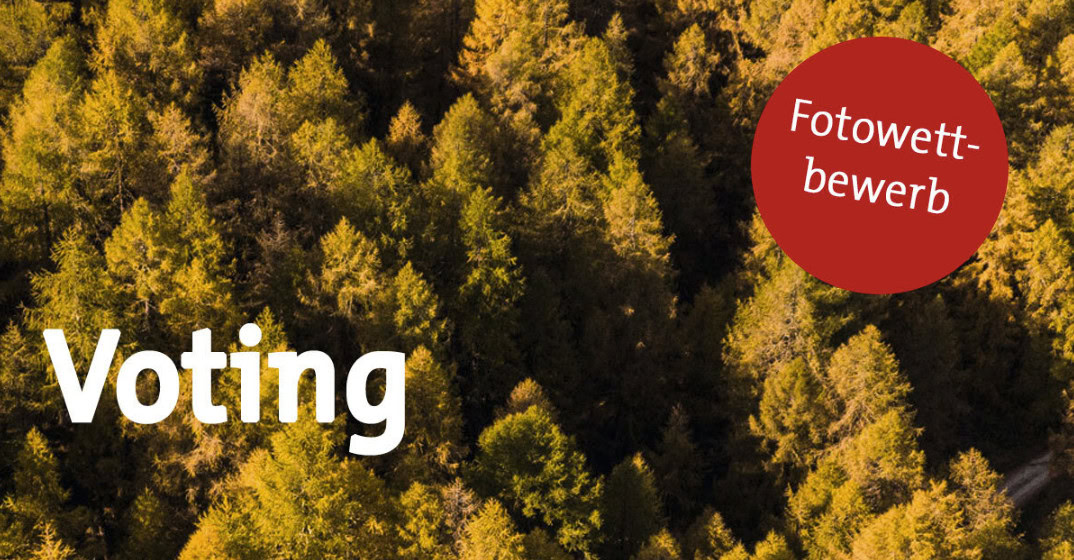 Illustration für eine Gamification-Software-Website: Aus der Vogelperspektive zeigt das Bild einen dichten Wald in bunten Herbstfarben. Links steht „Voting“ in weißer Schrift, rechts weist ein roter Kreis mit „Fotowettbewerb“ auf einen Foto-Gewinnspiel-Wettbewerb hin.