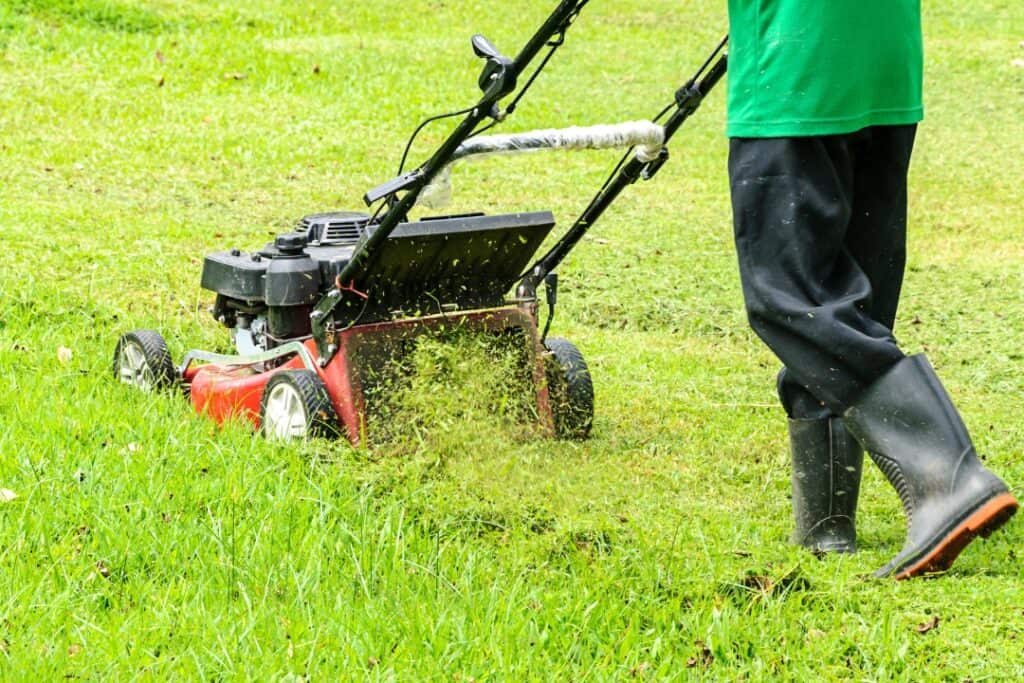 Gräsklippning pris, klippning av gräsmatta