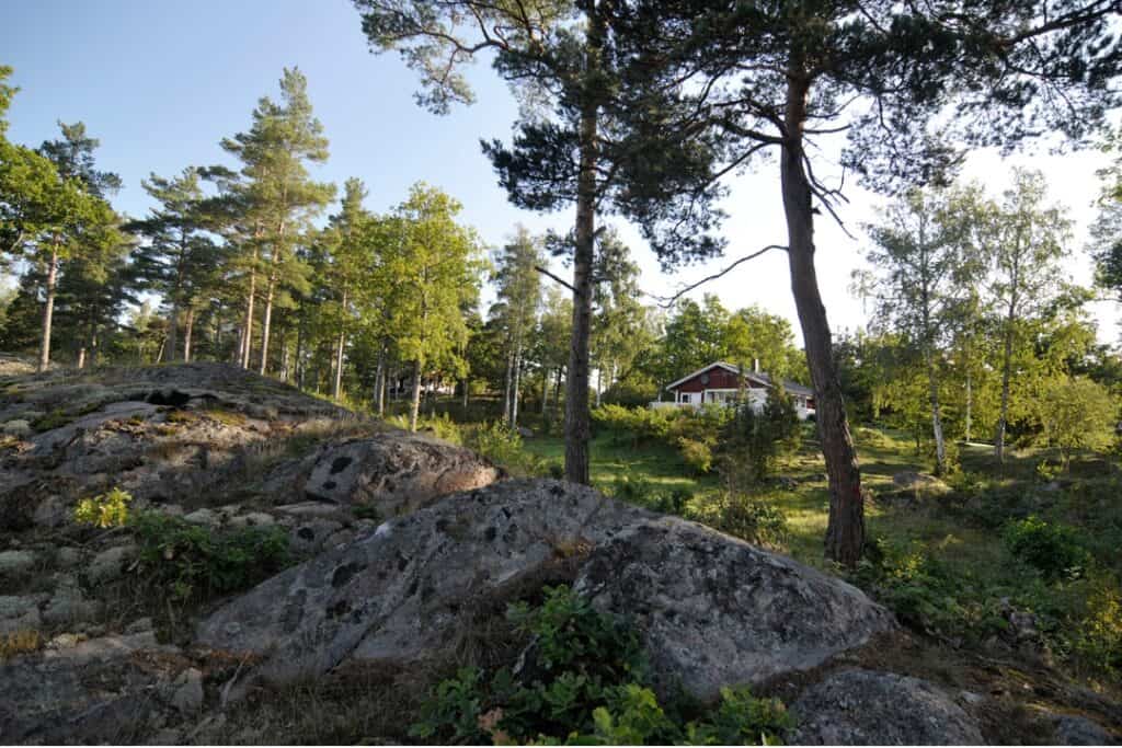Fräsa stubbe Malmö