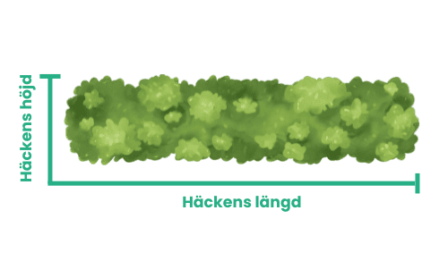 Mätning häck