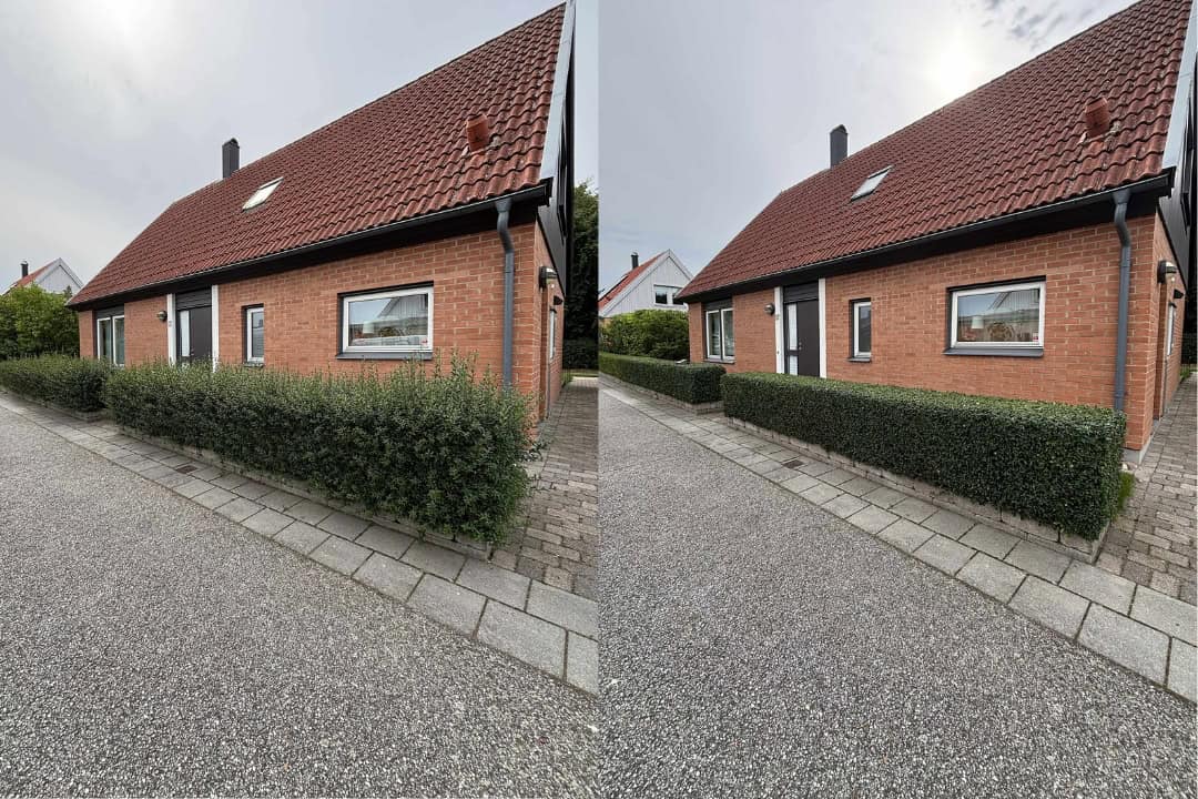 Formklippning ligusterhäck