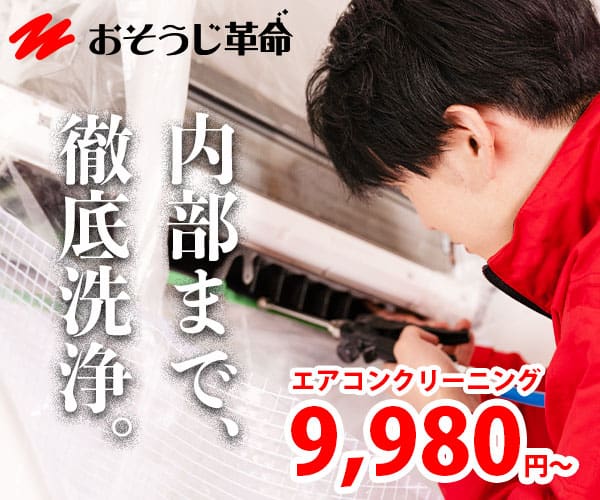 エアコン内部を徹底洗浄するおそうじ革命のスタッフ
