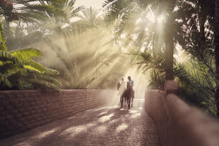 al-ain-oasis-event al-ain-oasis-event