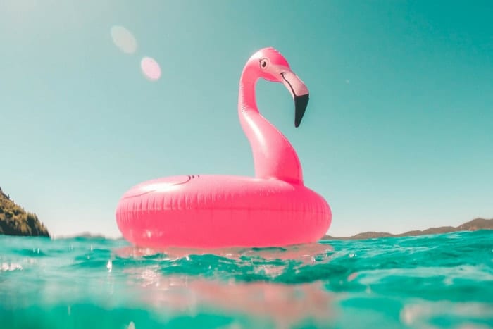 Things-To-Do-in-The-Summer-min Things to do in the summer