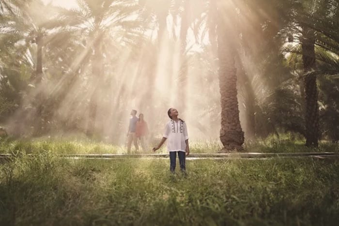 Al Ain Oasis Al Ain Oasis