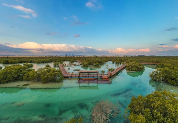 jubail mangrove park