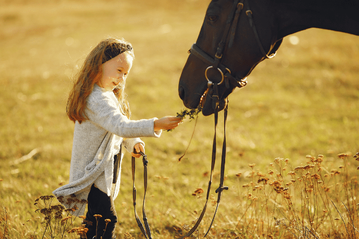 Horse