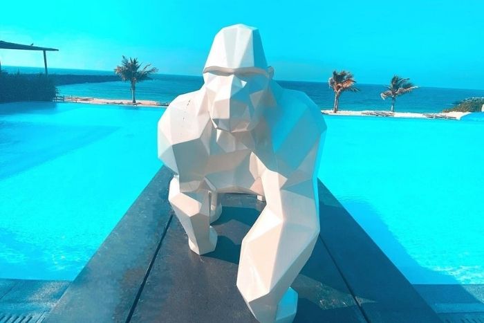 Pool days to try this weekend in Abu Dhabi