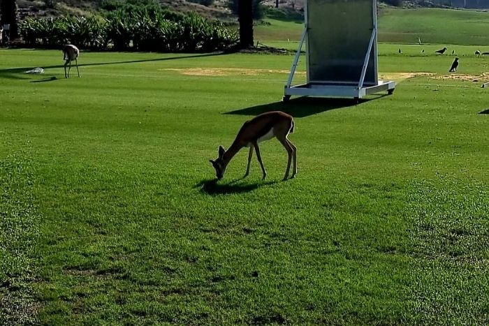 Saadiyat Beach Golf Club Abu Dhabi