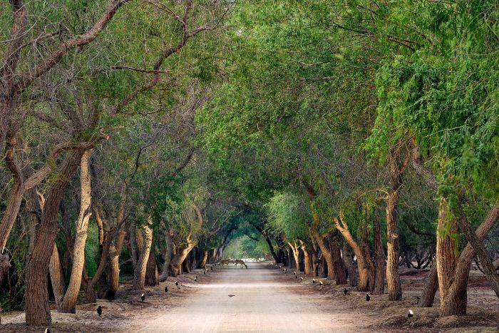 Cove Beach Abu Dhabi and Sheikha Fatima Park are some of the soulful places the property