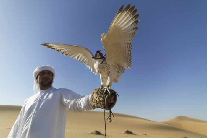 Man with a falcon in a desert at Yalla - Abu Dhabi Life Magazine Edition 19 (September 2022)