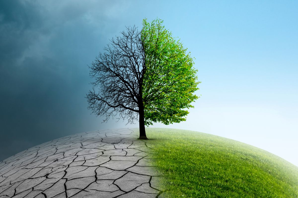 Dubai to host the first local climate summit