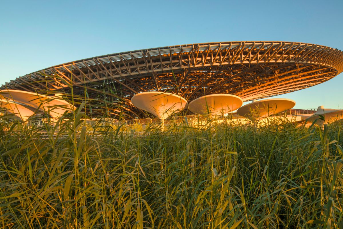 Expo City Dubai Cop28 expo city, dubai, expo city, expo city dubai for cop28, cop28, cop28 dubai, cop28 dubai dates, green zone, blue zone, cop28 green zone, cop28 blue zone, cop28 2023, cop28 sustainability, sustainability, year of sustainability, year of sustainability 2023