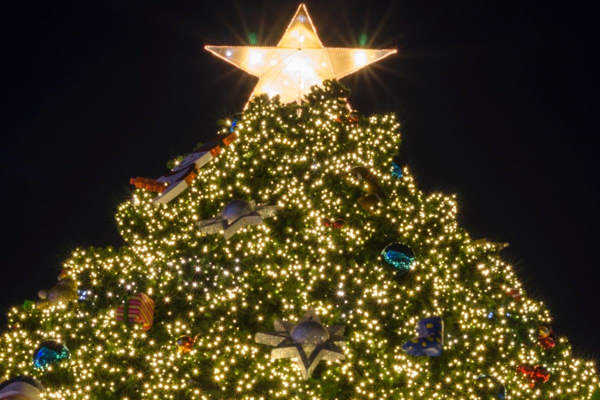 Best Christmas tree lightings Dubai