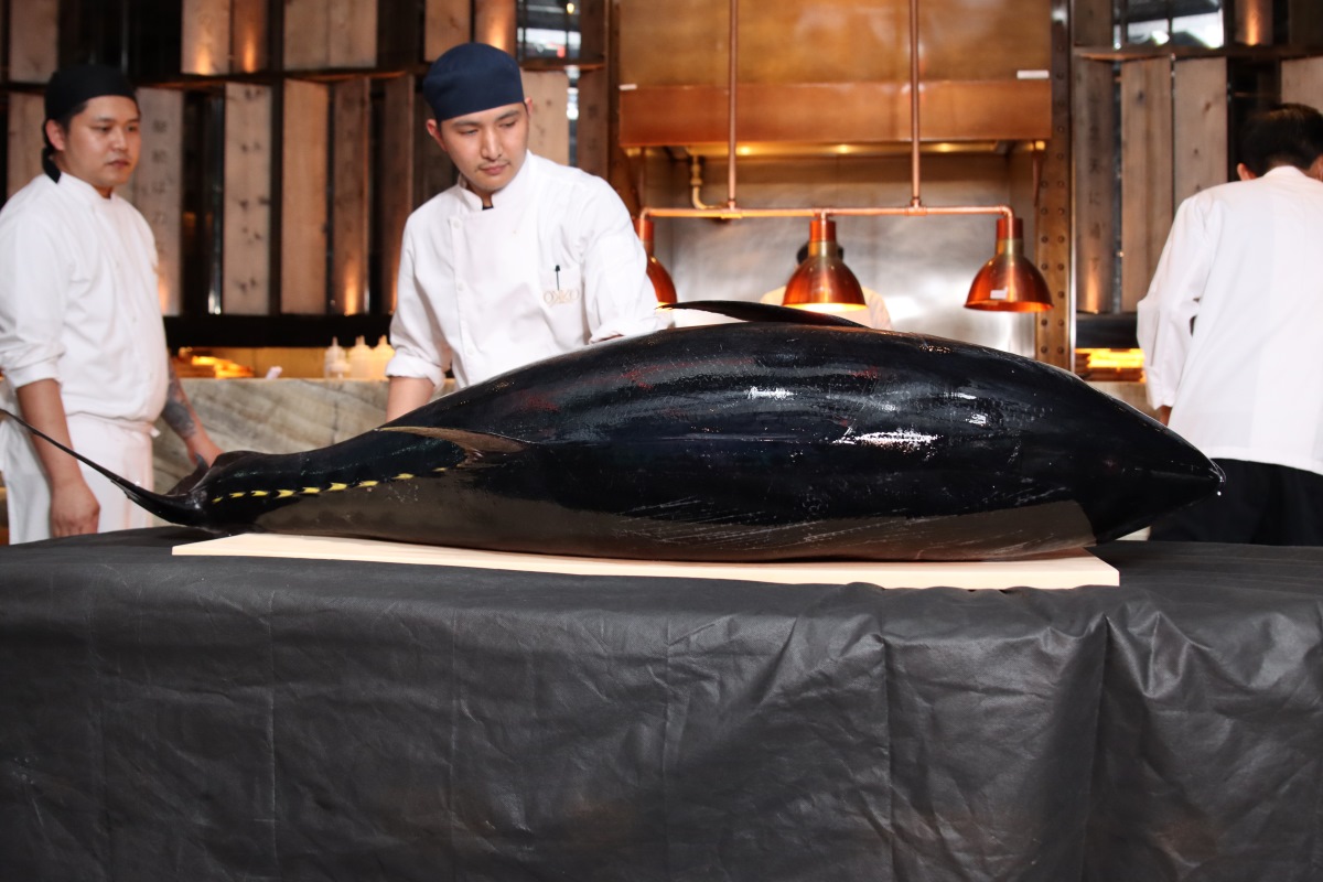 Okku Bluefin Tuna cutting Ceremony