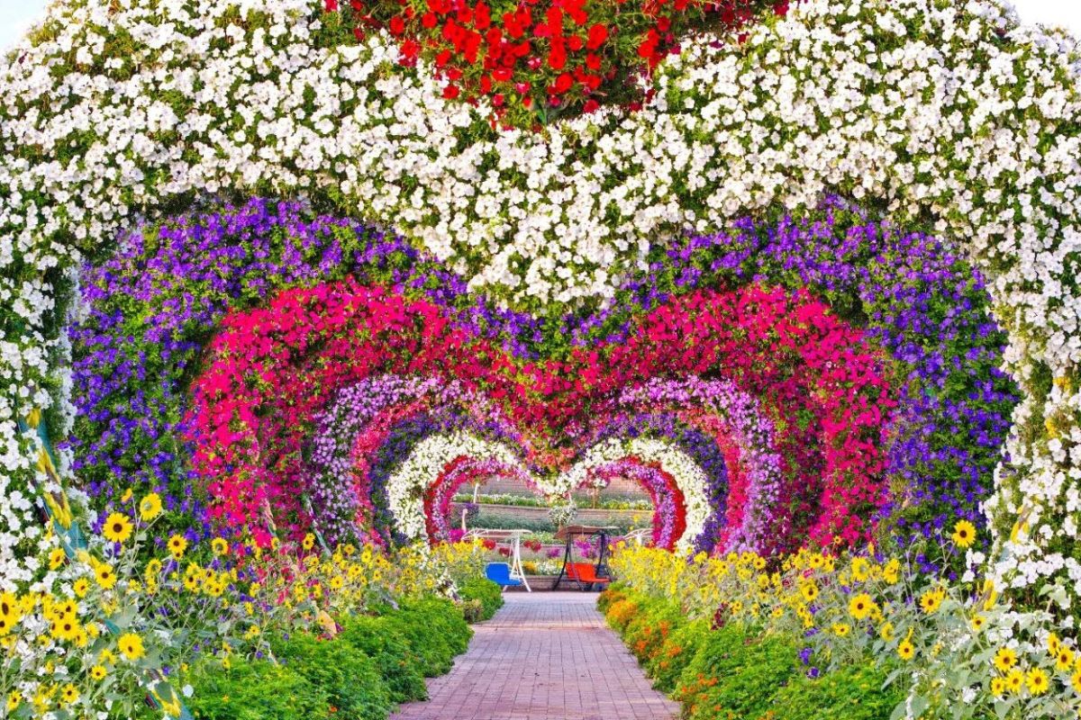 A flower arch shaped like a heart at Dubai Miracle Garden