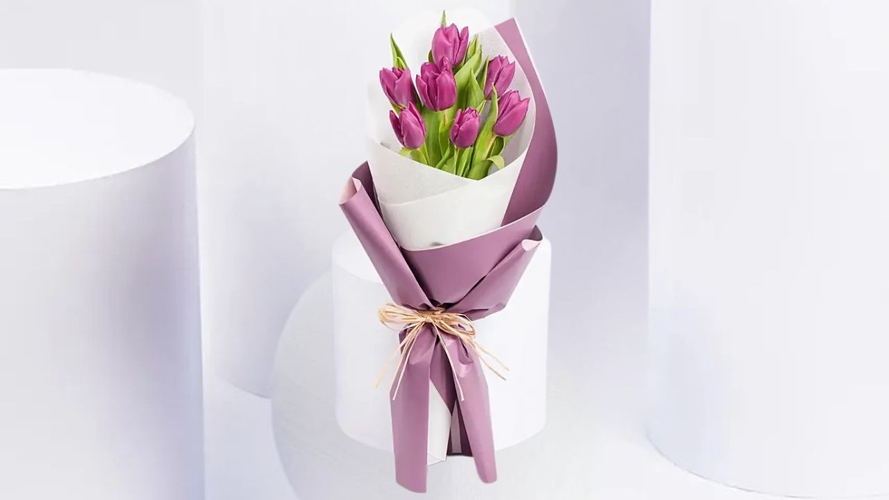 tulips fnp
