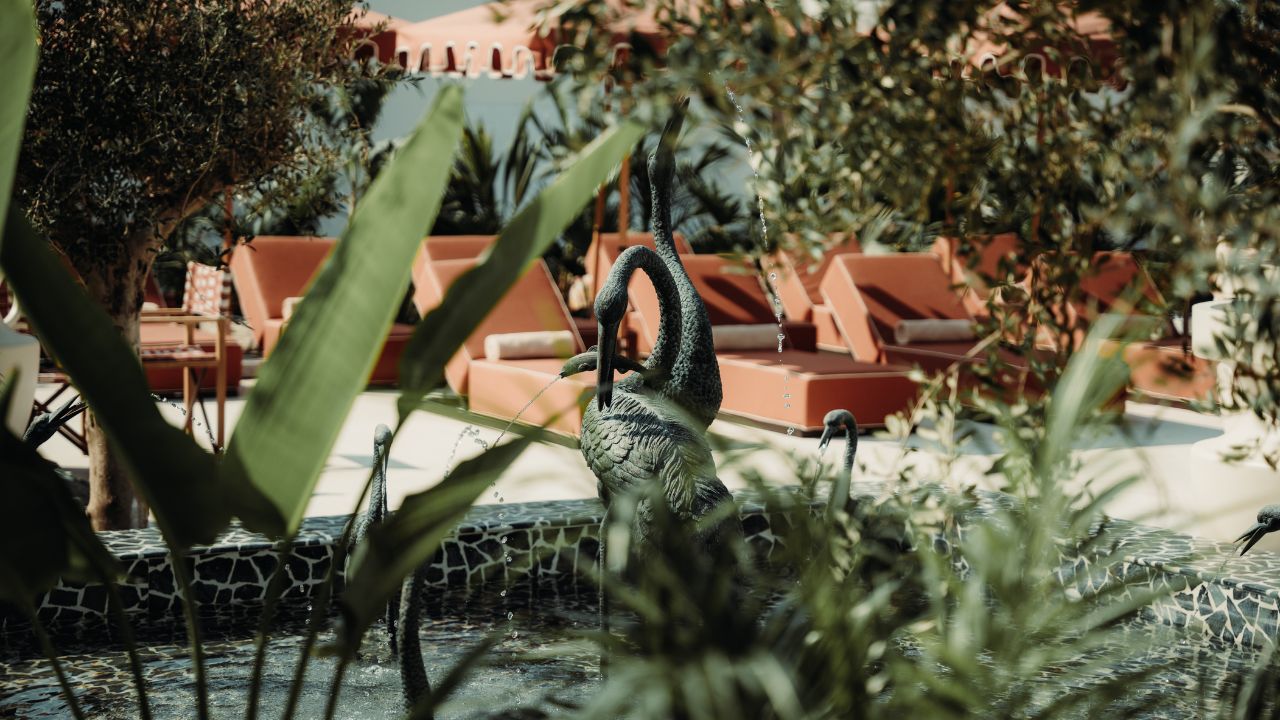 Lush jungle-themed pool area with greenery and tropical plants in Dubai.