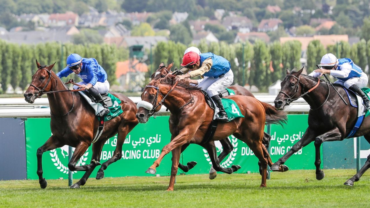 Exciting Dubai Racing Club race with jockeys and horses competing.