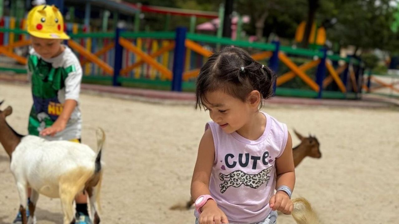 Children enjoying petting goats at Dubai family-friendly zoo.