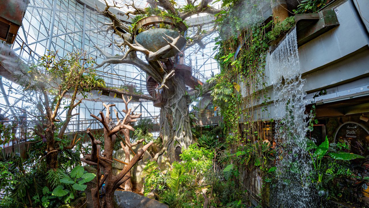 the green planet indoor rainforest