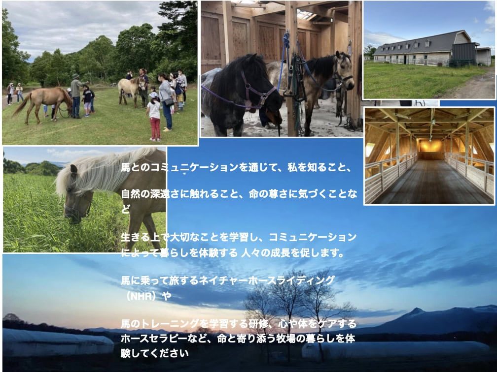 北海道・大沼、牧場の売買