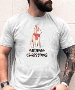 Golden Retriever Christmas Pajamas Matching Family Boys Shirt