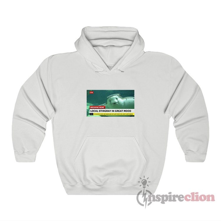 Local Stingray In Great Mood Meme Hoodie