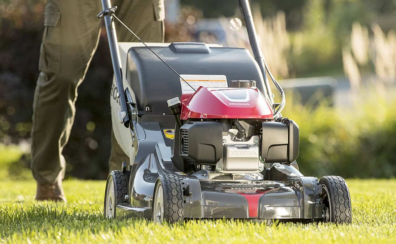 What to Look for When Hiring a Lawn Care Company