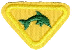 FA JCPA Schwimmer II