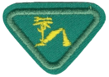 Kameradschaftsabzeichen der Pfadfinder mit Baum und Zelt, Symbol für Gemeinschaft und Outdoor-Abenteuer.