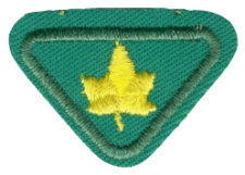 Großes Zentrallager-Emblem mit grüner Umrandung und gelbem Blatt in der Mitte, Symbol für Logistik, Lagerhaltung und zentralen Versand.