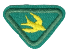 Zentrallager-Bild, effizientes Logistikzentrum mit Lagereinrichtungen und Warenanlieferung, zentraler Lagerstandort für die Optimierung von Versandprozessen, logistische Infrastruktur.