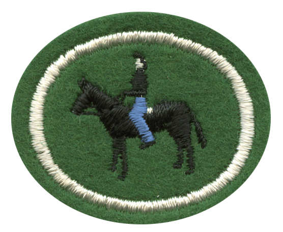 FA CPA Reiten