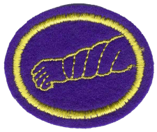 Grafik eines gestickten Zentrallager-Logos in lila und gelb, symbolisiert Organisation und Lagerverwaltung.