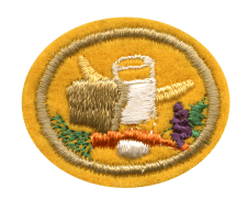 Zentrallager Patch mit Apotheken-Symbol, medizinischem Verband und Kräutern, symbolisiert Organisation und Warenlagerung im pharmazeutischen Bereich.