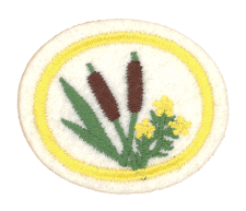 Cactus- und Pflanzenemblem Stickerei, gewerbliches Abzeichen, Flecht- und Stickapplikation, ideal für Zentrallager-Logistik.