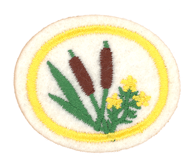 FA CPA Essb.Wildpflanz