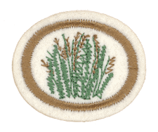 Grüner und brauner Stickpatch für Zentrallager, Gewebeapplikation, hochwertige Textilaufnäher, Dekoration, Vereins- oder Firmenkleidung, nachhaltiges Stickerei-Design, langlebiges Material, personalisierte Textilzubehör, gestickter Wappenaufnäher, Outdoor- oder Sportbekleidung, authentisches Stickmotiv, individuelle Gestaltungsmöglichkeiten.