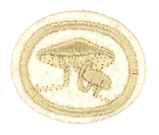 Pilz-Emblem Stickerei, hochwertiges Wachstuch-Detail, symbolisiert Natur und Nachhaltigkeit, perfekt für Kleidung oder Accessoires, hergestellt mit präziser Sticktechnik.