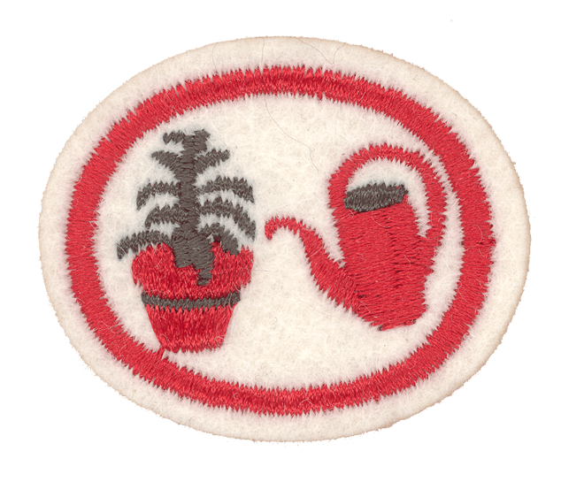 FA CPA Zimmerpflanzen