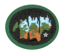 Grüne Tarnfarbe mit Wald- und Naturmotiv, militärisches Abzeichen, Wappen, und Stern, für Zentrallager Einsatz, hochwertiges Stickerei-Design, Symbol für Naturverbundenheit und Schutz.
