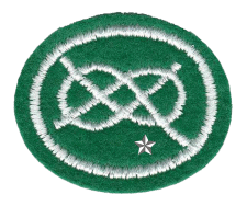 Zentrallager Emblem mit nachhaltigem Symbol, grünem Hintergrund, Expertise in Lagerlogistik und Versanddienstleistungen, hohes Qualitätsniveau, verlässlich, professionell, zentrale Logistiklösungen.