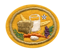 Zentrallager Abzeichen, patch, mit Stickerei und Stern, für Lagerverwaltung, Logistik, Vereinsbedarf, Sammlung, Zubehör, Sauberkeit, Organisation, langlebig, hochwertig, Motiv, Logo.