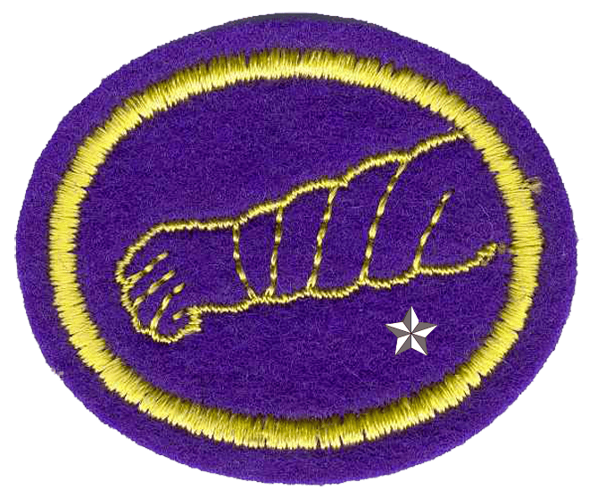 FA Pfadfinder Gesundht.+Heilung II